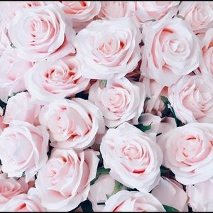 Meet your Posher, Ciera